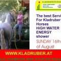 Best Service for the Kladruber Horses  Shower with high Energy Water..from ALTENFELDEN KLADRUBER Driving CENTER for international Training and CAI-A Starter....www.kladruberzentrum.at <br />
